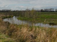 NL, Noord-Brabant, Boxtel, Smalwater 2, Saxifraga-Jan van der Straaten