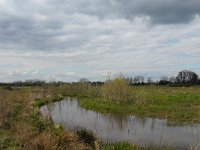 NL, Noord-Brabant, Boxtel, Smalwater 4, Saxifraga-Jan van der Straaten