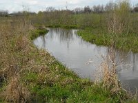 NL, Noord-Brabant, Boxtel, Smalwater 5, Saxifraga-Jan van der Straaten