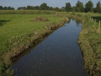 NL, Noord-Brabant, Hilvarenbeek, Spruitenstroompje 45, Saxifraga-Jan van der Straaten