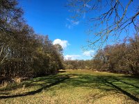 NL, Gelderland, Ermelo, Staverdense beek 10, Saxifraga-Bart Vastenhouw