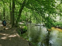 NL, Limburg, Roermond, Swalm 3, Saxifraga-Tom Heijnen