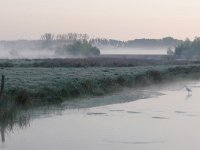 NL, Noord-Brabant, Heeze-Leende, Tongelreep in Patersgronden 2, Saxifraga-Tom Heijnen