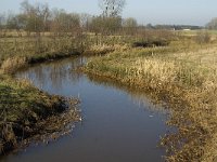 NL, Limburg, Weert, Tungelroyse beek 3, Saxifraga-Jan van der Straaten