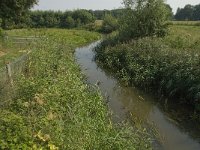 NL, Limburg, Weert, Tungelroyse beek 4, Saxifraga-Jan van der Straaten