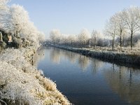 NL, Noord-Brabant, Oisterwijk, Voorste Stroom 19, Saxifraga-Jan van der Straaten