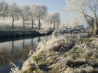 NL, Noord-Brabant, Oisterwijk, Voorste Stroom 4, Saxifraga-Jan van der Straaten