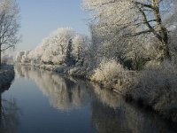 NL, Noord-Brabant, Oisterwijk, Voorste Stroom 6, Saxifraga-Jan van der Straaten