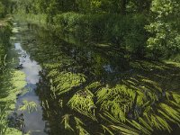 NL, Noord-Brabant, Tilburg, Zandleij 4, Saxifraga-Jan van der Straaten