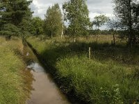 NL, Noord-Brabant, Zundert, Zoeksche Loop 2, Saxifraga-Jan van der Straaten