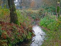 NL, Drenthe, Aa en Hunze, Anderense Diep 1, Saxifraga-Hans Dekker