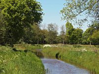 NL, Drenthe, Midden-Drenthe, Orvelte 31, Saxifraga-Hans Dekker