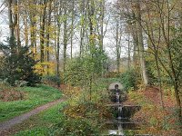 NL, Gelderland, Renkum, Hemelse Berg 1, Saxifraga-Tom Heijnen