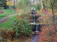 NL, Gelderland, Renkum, Hemelse Berg 2, Saxifraga-Tom Heijnen