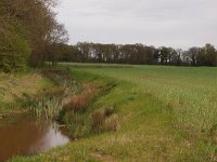 NL, Groningen, Stadskanaal, Smeerling 1, Saxifraga-Hans Dekker