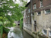 NL, Limburg, Maastricht, Jeker 1, Saxifraga-Tom Heijnen