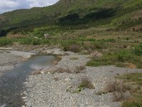 AL, Shkoder, Shkoder 50, Saxifraga-Hans Boll