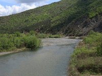 AL, Shkoder, Shkoder 56, Saxifraga-Hans Boll