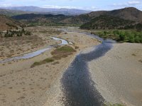 AL, Shkoder, Shkoder 90, Saxifraga-Hans Boll