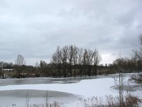 EST, Laanemaa, Lihula vald, Matsalu, Kasari river 2, Saxifraga-Bart Vastenhouw