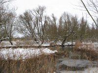 EST, Laanemaa, Lihula vald, Matsalu, Kasari river 4, Saxifraga-Bart Vastenhouw