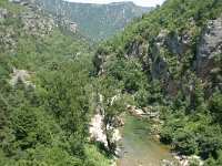 F, Lozere, Gorge du Tarn 4, Saxifraga-Dirk Hilbers