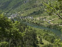 F, Lozere, Les Vignes 5, Saxifraga-Marijke Verhagen