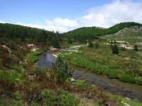 F, Lozere, Tarn 1, Saxifraga-Dirk Hilbers