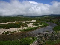 F, Lozere, Tarn 4, Saxifraga-Dirk Hilbers