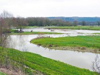 F, Vouziers, Aisne 1, Saxifraga-Tom Heijnen