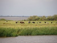 D, Niedersachsen, Cuxhafen, Elbe 2 , Foto Fitis-Sytske Dijksen