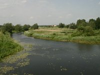 LT, Vilnius, Vilnius 5, Saxifraga-Hans Boll