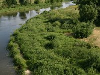 PL, Podlaskie, Lomza, Narew 3, Saxifraga-Hans Boll