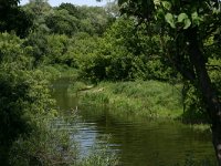 PL, Podlaskie, Lomza, Narew 4, Saxifraga-Hans Boll