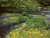 E, Caceres, Trujillo 41, Saxifraga-Sytske Dijksen