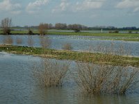 NL, Gelderland, Culemborg, Redichemse Waard 2, Saxifraga-Marijke Verhagen