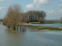 NL, Gelderland, Culemborg, Redichemse Waard 9, Saxifraga-Marijke Verhagen