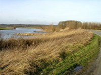 NL, Gelderland, Rheden, Havikswaard 9, Saxifraga-Henk Sierdsema