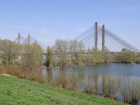 NL, Gelderland, Zaltbommel, Martinus Nijhofbrug 5, Saxifraga-Tom Heijnen