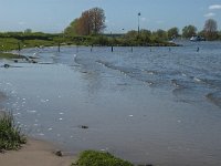 NL, Noord-Brabant, 's-Hertogenbosch, De Koornwaard 35, Saxifraga-Jan van der Straaten