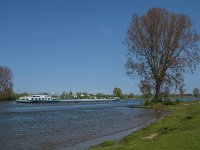 NL, Noord-Brabant, 's-Hertogenbosch, De Koornwaard 51, Saxifraga-Jan van der Straaten