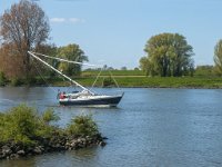 NL, Noord-Brabant, 's-Hertogenbosch, De Koornwaard 53, Saxifraga-Jan van der Straaten