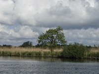 NL, Noord-Brabant, Altena, Amer 4, Saxifraga-Jan van der Straaten