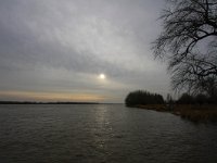 NL, Noord-Brabant, Werkendam, Kop van t Land 1, Saxifraga-Bart Vastenhouw