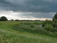 NL, Overijssel, Zwolle, IJssel valley near Harculo 1, Saxifraga-Tom Heijnen