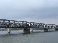 NL, Zuid-Holland, Dordrecht, Moerdijkbrug 19, Saxifraga-Willem van Kruijsbergen