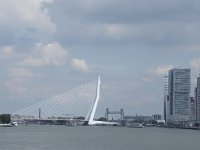 NL, Zuid-Holland, Rotterdam, Erasmusbrug 2, Saxifraga-Willem van Kruijsbergen