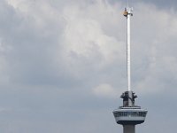 NL, Zuid-Holland, Rotterdam, Euromast 2, Saxifraga-Willem van Kruijsbergen