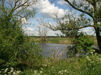 D, Mecklenburg-Vorpommern, Jarmen 1, Saxifraga-Hans Boll