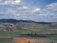 E, Teruel, Villaroya de los Pinares 3, Saxifraga-Jan van der Straaten